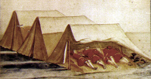 Scene of the Camp on Hampton Green, 1781