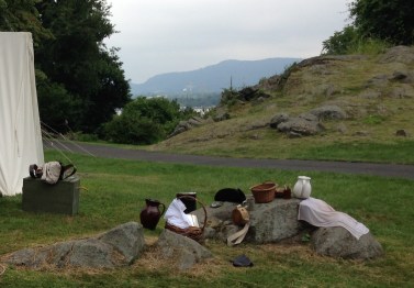 Colonial breakfast on a rock