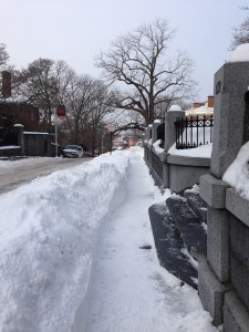 16314413949_fca9e1de44_z