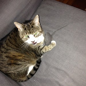 a little privacy, please?