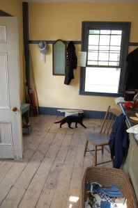 Wool on hooks, cat on prowl