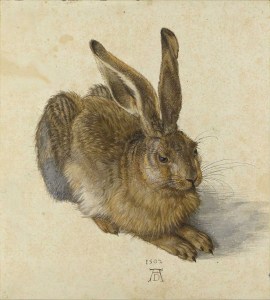 durer_hare